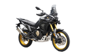 VOGE - TRAIL DS  DS800X RALLY